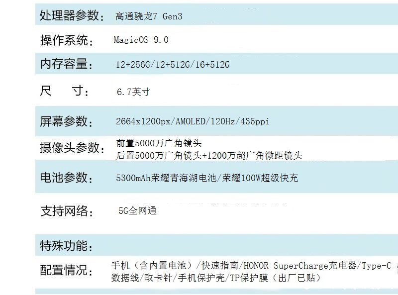 荣耀300
